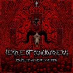 Wicked Weirdo - Temple of Consciouness(outro)(premaster)