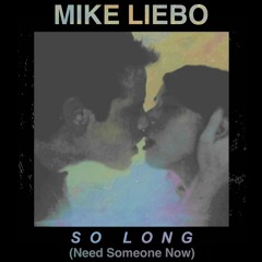 Mike Liebo - So Long (Need Someone Now)