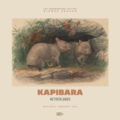 Kapibara @ Melodic Therapy #092 - Netherlands