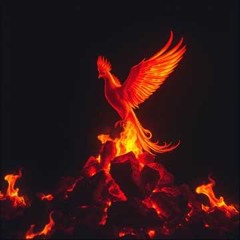 BURN THE BODY I CAME IN