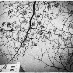 Anh sẽ ổn thôi - Vương Anh Tú [slowed]