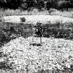 Only Love Can Break Your Heart