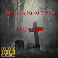 THE END