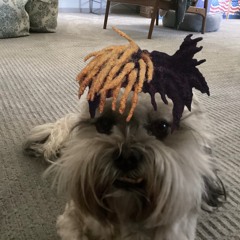 another terrible mix but this one is based on never say die