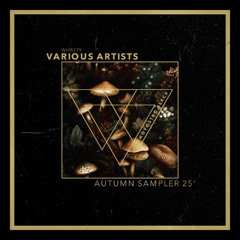 VA - Autumn Sampler 25' [WHB279]