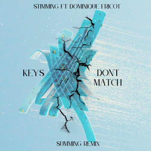 Summing Key Stream Stimming - Keys Don't Match (Summing Remix) by Summing | Listen ...