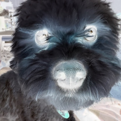 20240508 Living in a stimulation 2