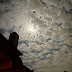 Blu! + Samosthated [grew out]