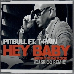 Pitbull Feat. T - Pain - Hey Baby (DJ Sriqq Bootleg)