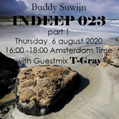 T-Gray guestmix INDEEP 023 august 2020 @ PROTON RADIO