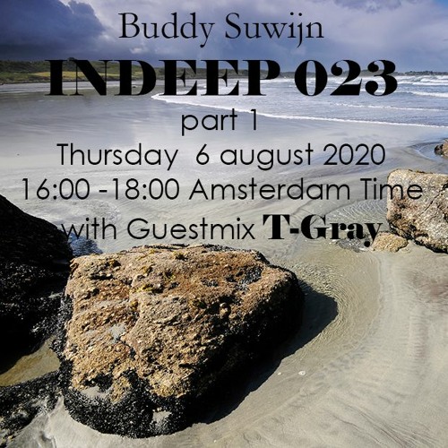T-Gray guestmix INDEEP 023 august 2020 @ PROTON RADIO
