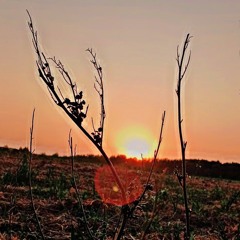 Dainotas Varnas - Pažiūrėk į dangų