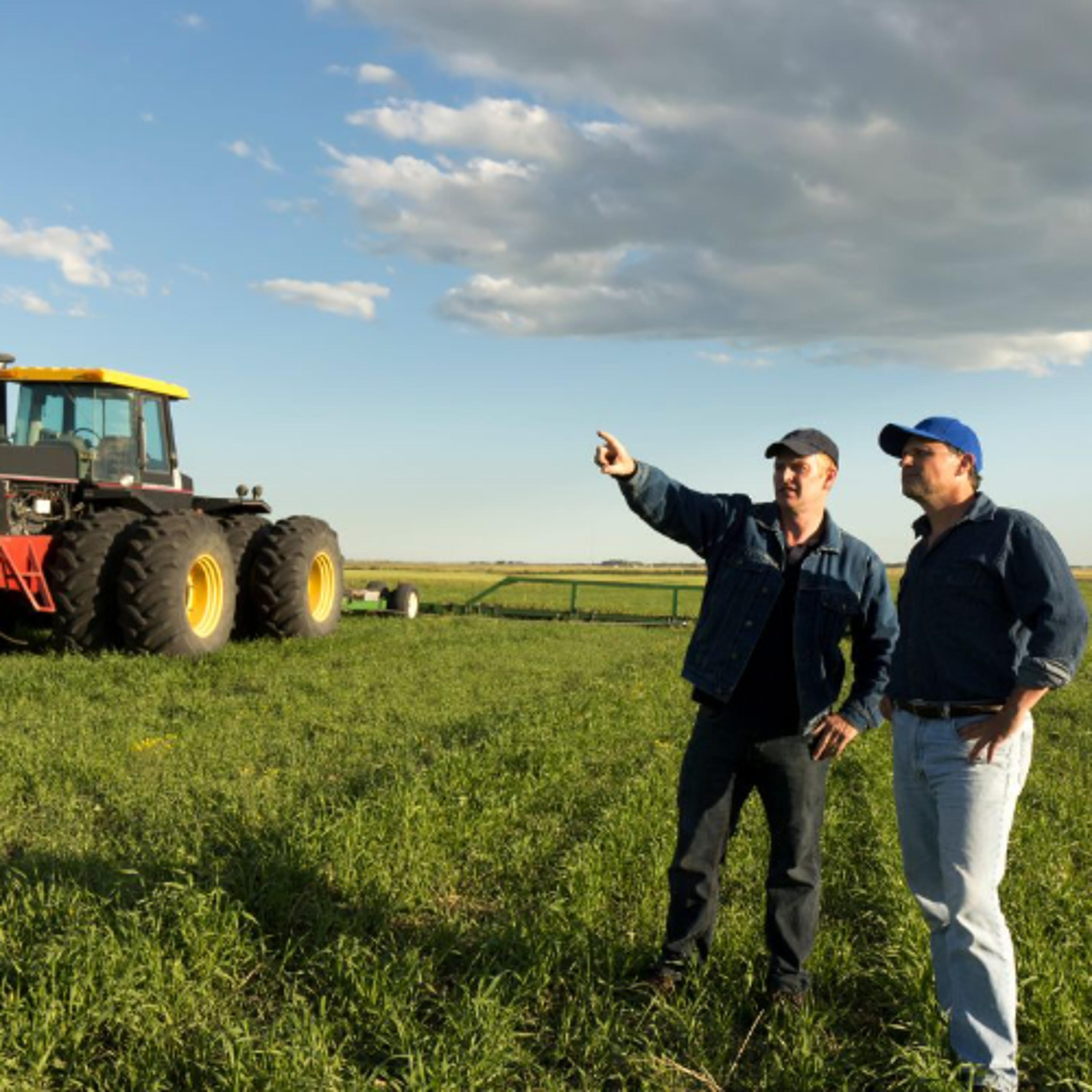 Seed, Feed and Faith: The Unexpected Network Supporting Farmers' Mental Health episode artwork