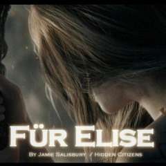 Fur Elise (Jamie Salisbury & Hidden Citizens)(Remix Version)