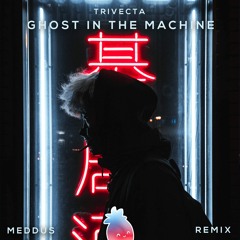 Trivecta - Ghost In The Machine (Meddus Remix)