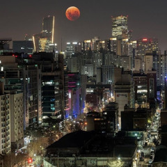 So gone (prod. Axhton x Stacy)