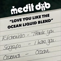 LOVE YOU LIKE THE OCEAN MEDIT LIQUID BLEND