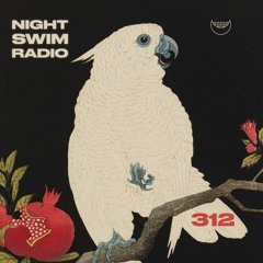 Night Swim Radio - Dive 312