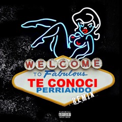 Te Conoci Perriando (Remix)