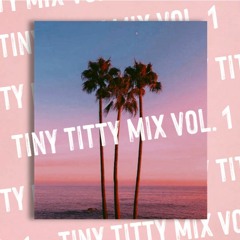 Tiny Titty Mix Vol. 1 (MASHUP MEGAMIX)