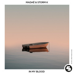 Madaë & Storm K - In My Blood