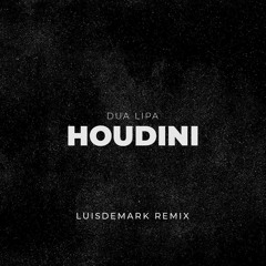Dua Lipa - Houdini (LUISDEMARK Remix)