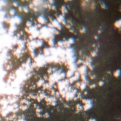 A-S 2022