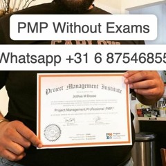 buy an original CISSP certificate without taking WhatsApp +31 687546855