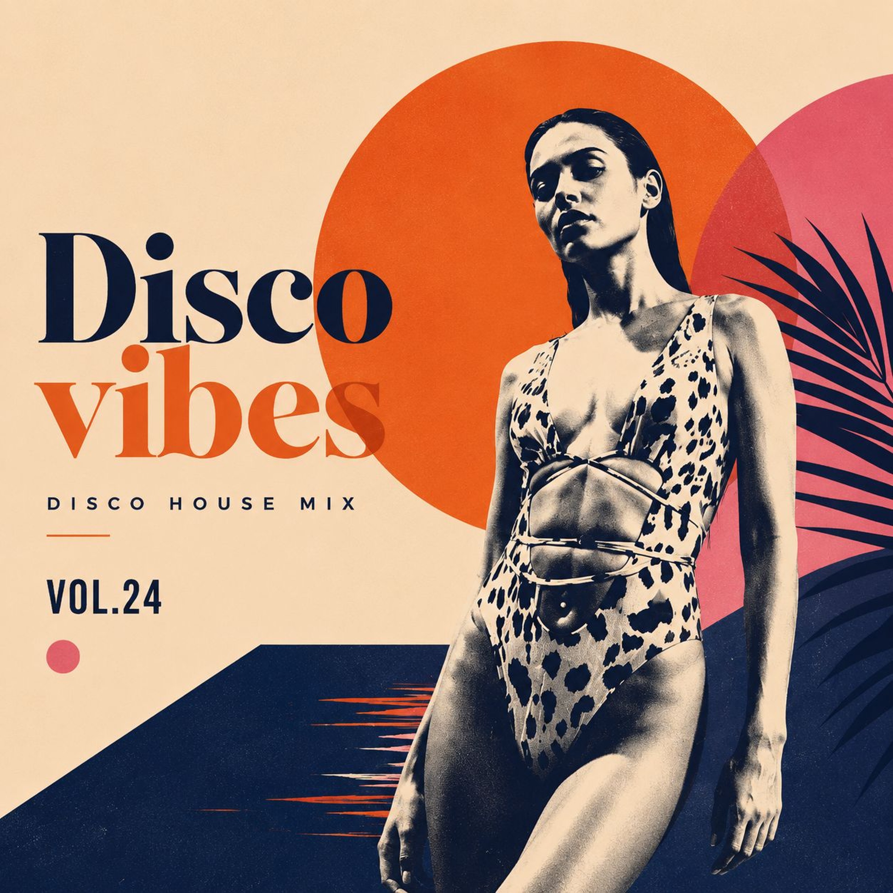 Disco House vol.24 episode artwork