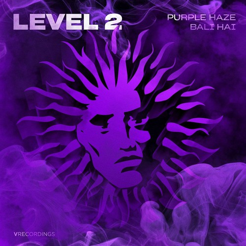 Level 2 - Purple Haze [V Recordings]