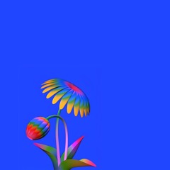 Bloom