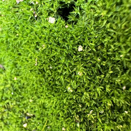 In Memory Of 2015, The Year I Was So In Love I Forgot To Love Myself