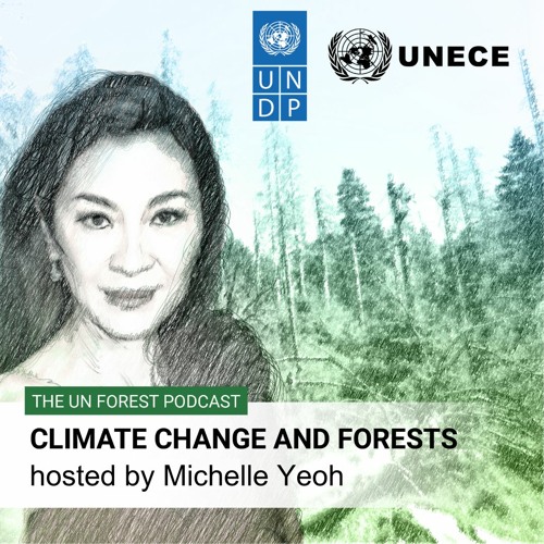Climate change & forests hosted by Michelle Yeoh - The UN Forest Podcast