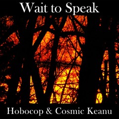 Wait To Speak(Hobocop & Cosmic Keanu)