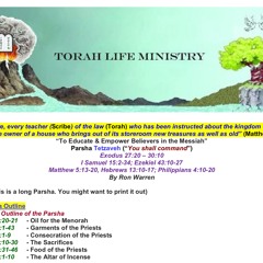 020 Tetzaveh 2024 (Exodus 27:20-30:10)