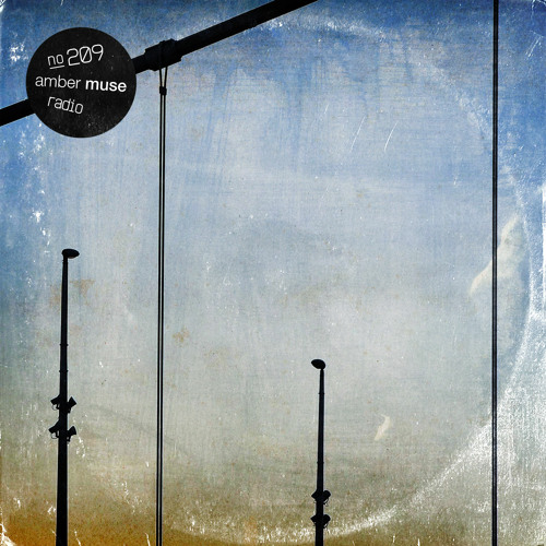 Amber Muse Radio Show #209 with Taran & Lomov // 20 Nov 2020
