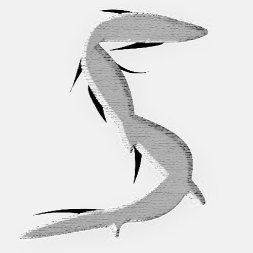Skremzy ID Showcase 3