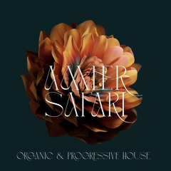 Organic&progressive house set.