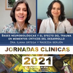 Bases neurobiológicas y el efecto del trauma en momentos críticos del desarrollo