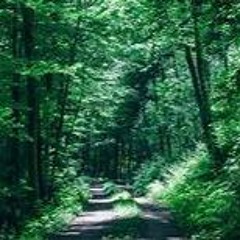 Forest ft. Iriasona (prod. CapsCtrl)