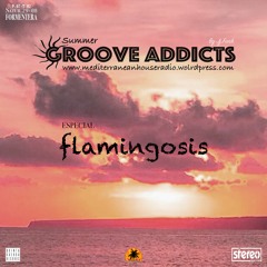 Groove Addicts Summer By Jj.Funk P.07 - T.02 Especial Flamingosis