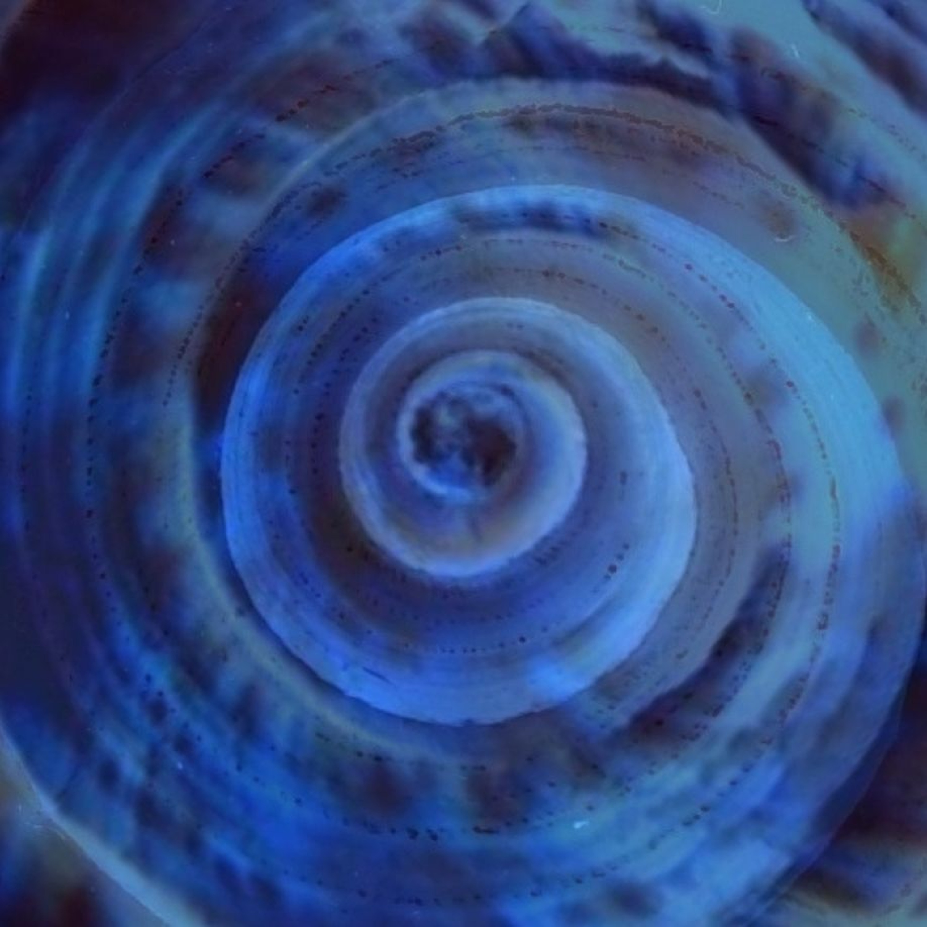 Eyecoral episode artwork