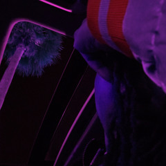 Miami Nights