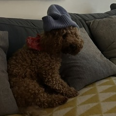 BELGIUM JUMP MIX NU SKOOL VS. ROLLERS OLD SKOOL