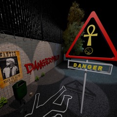 D A N G E R V E R S E ⚠️🔌´s