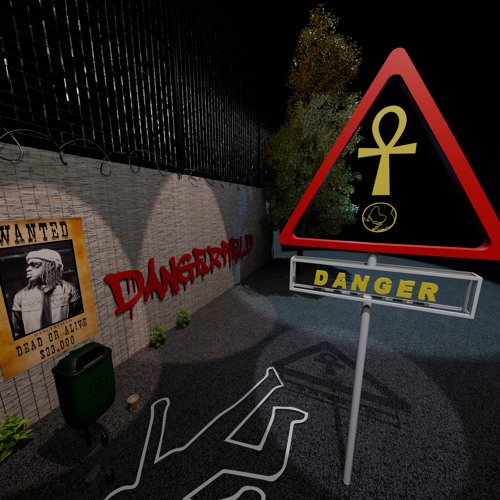 D A N G E R V E R S E ⚠️🔌´s