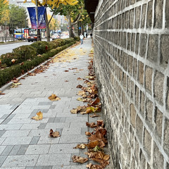 가을 만추 낙엽이 떨어질때 듣는 믹스 믹스셋 믹셋 Autumn Korea Mix Mixset