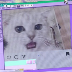 I've Seen Vagina - Death Grips X Cupcakke Mashup