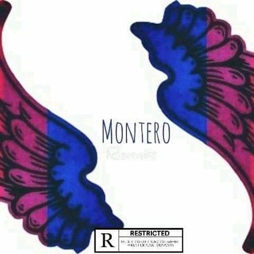 Montero(Remix)
