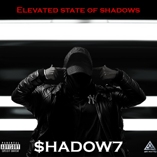 Elevated State Of Shadows